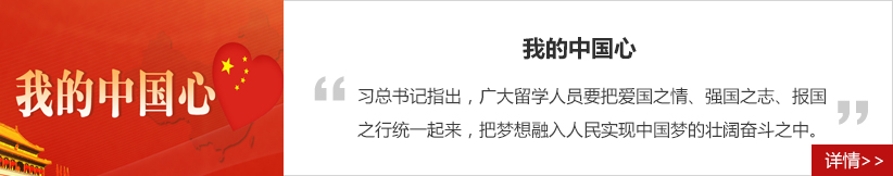 我的中国心