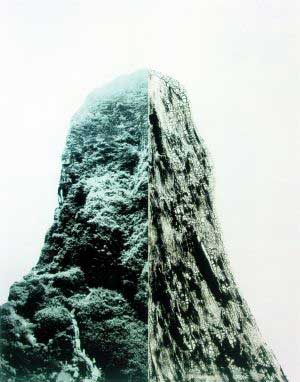 尚扬《碑》　　这件作品体量颇大，达到了360cmX290cm，即使在普遍以大画为主的一楼展厅里也颇为醒目。左半幅郁郁葱葱的山林与右半幅炭化皲裂的山体对比强烈，技法高超，超写实的综合材料制作方式让人印象深刻，画面可以从生态环保、二元哲学、时空观、生命隐喻等多重角度进行解读，每个观众都可以容易地从中寻找自己的理解，或许正是因为这样，许多观众选择在这张作品前留影纪念。