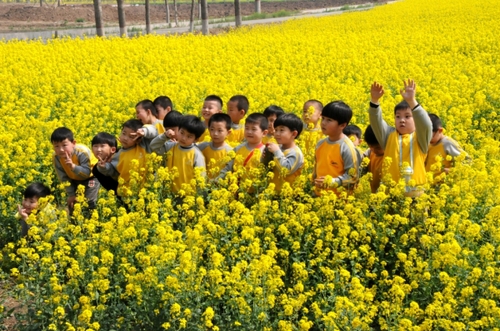 549684_xxjpsgc000855_20140401_tppfn1a001_600_450