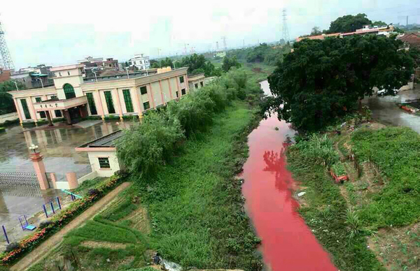 广东一企业趁暴雨偷排污水“造”红蓝河2