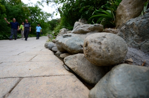 5月27日，在甘肃省陇南市康县白杨乡枫岭村，几名行人从用河道石头装饰的乡村道路上走过。