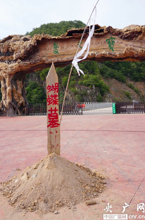 扎死蝴蝶装扮仙子事件再度发酵-广场被堆放蝴蝶墓3