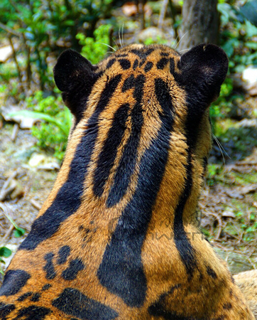 QQ截图20140606101721