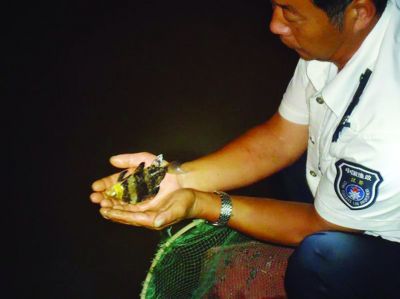 920101759696FEF7378570B5F6DD5528 920101759696FEF7378570B5F6DD5528