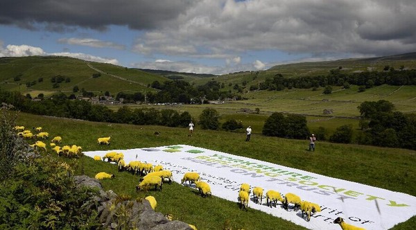 QQ图片20140706152807