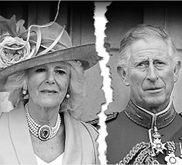 126717930_14046893447771n