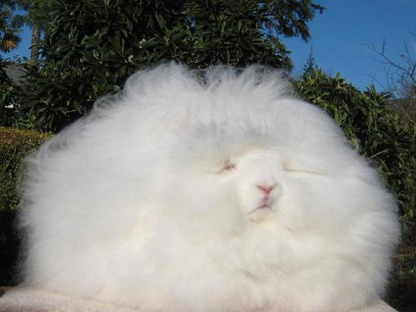 360截图20140708140755233