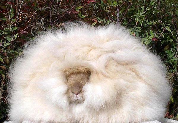 360截图20140708140826457