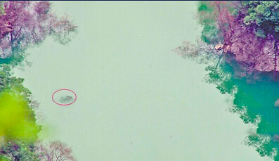 重庆疑现神秘水怪-原是3米长重约300斤大鱼3