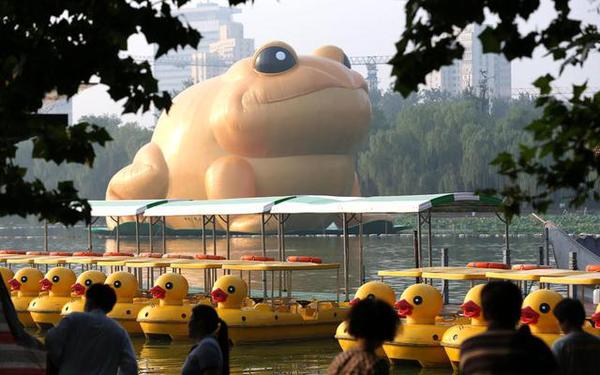 22米高的充气金蟾浮在玉渊潭的湖面上