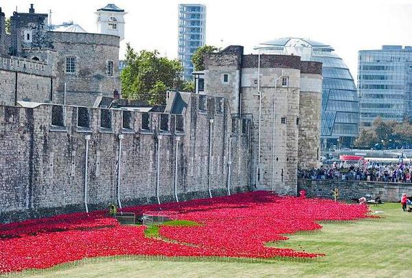 360截图20140728135807261