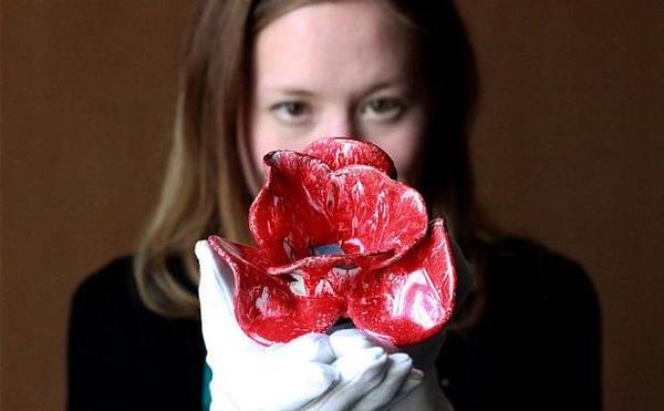 每一朵罂粟花都代表着一位第一次世界大战中的盟军受害者。