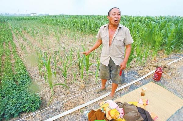 图为宝丰县闹店镇西牛村，老农夜宿地头等水来浇苗。 图片来源：大河网