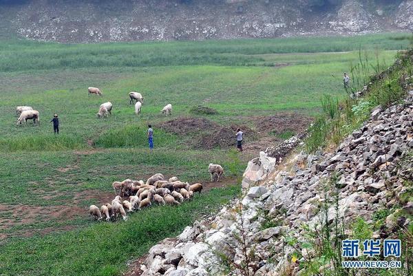 360截图20140801102421844