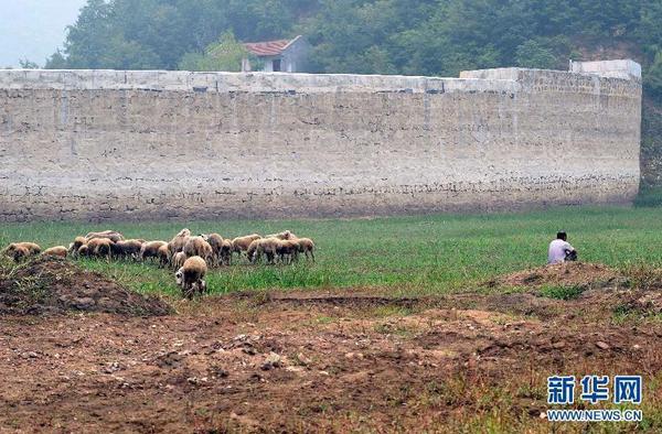 360截图20140801102702828