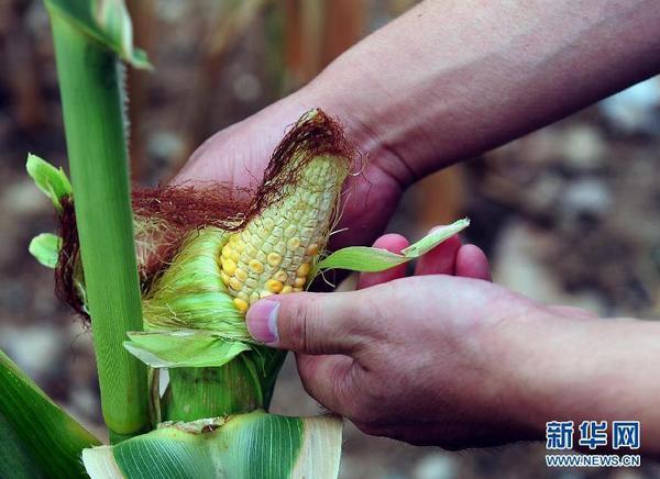 360截图20140801102723907