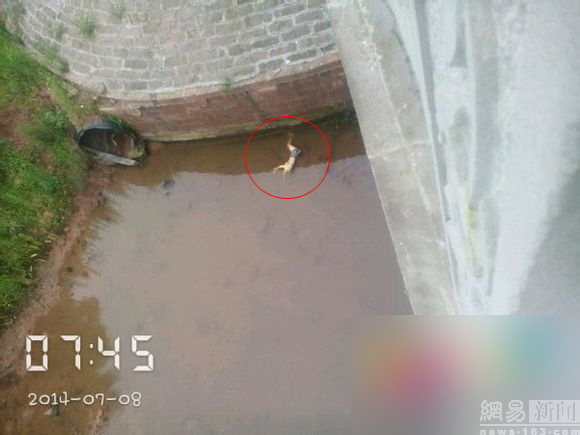 12557522051741914946_11n