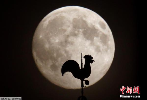 图为在德国上演的“超级月亮”。