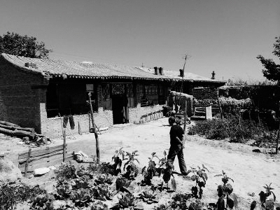 7名少年围殴精神病人致死-打人者均未满18岁2