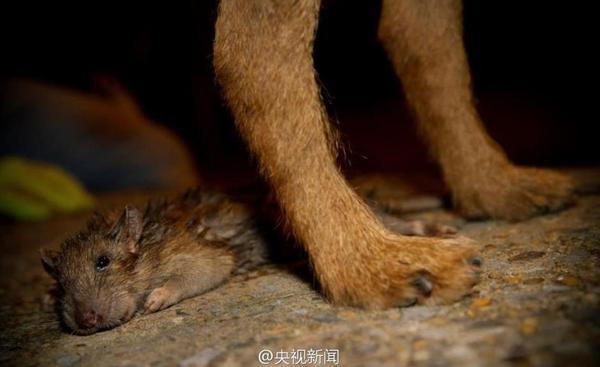 360截图20140821145540023