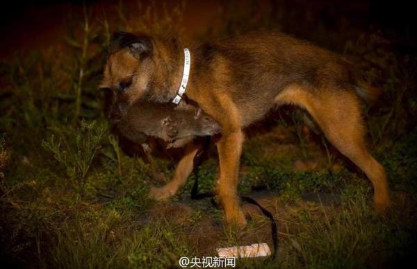 360截图20140821145554470