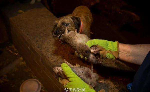 360截图20140821145606214