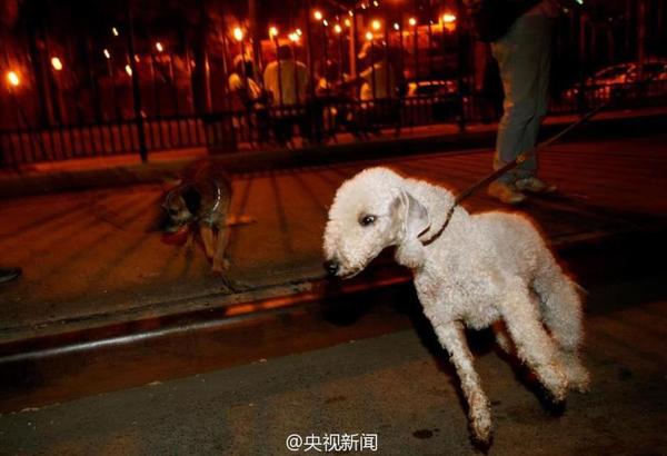 360截图20140821145615790