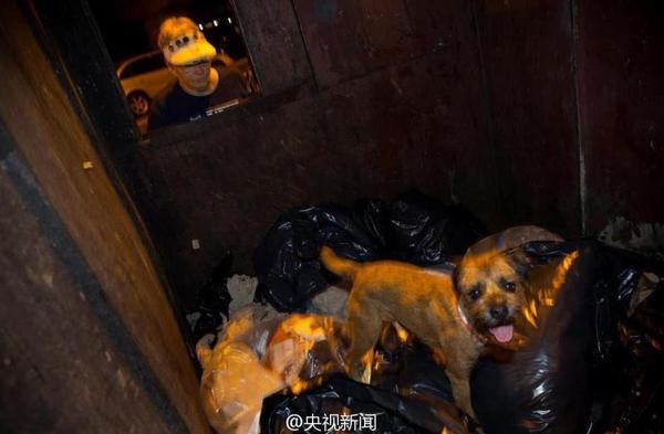 360截图20140821145648079