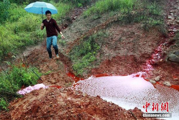 图为2014年9月15日，河南洛阳汝阳县马兰河因为污染变成一条“红河”，“红水”顺着山坡一直流到山下，而“红水”的源头正是附近一山顶的染料厂残留处理池。图为洛阳连下几日雨，被涂料厂染红的雨水聚集，变成鲜红的污水滩