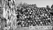 淅川县取缔的网箱 淅川县取缔的网箱