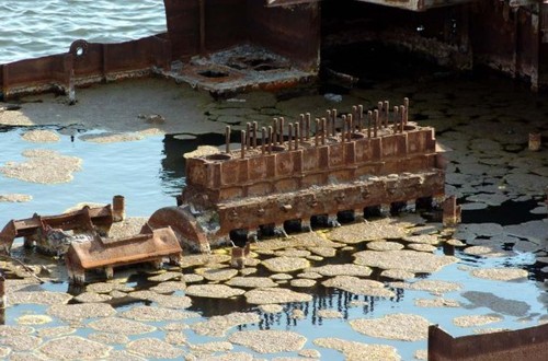 沙尘暴和多年来流入河流的农用化学品物质是周边的居民区受到了严重的污染，生态环境越来越差。图中为一艘船的引擎泡在咸海的湖水中。