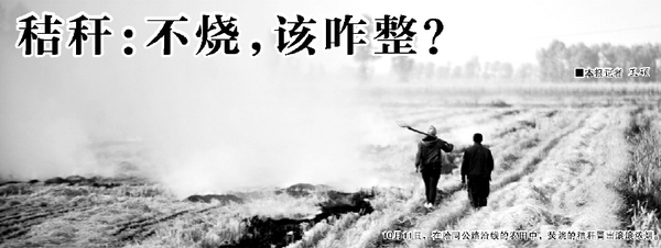 10月11日，在哈同公路沿线的农田中，焚烧的秸秆冒出滚滚浓烟。