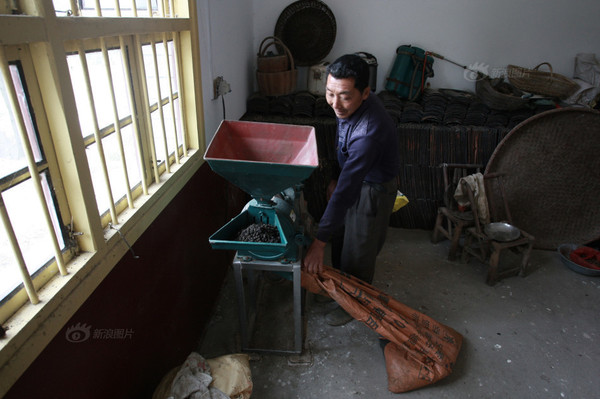 村民王先生用脱米机将已经干燥的羊粪磨成粉。