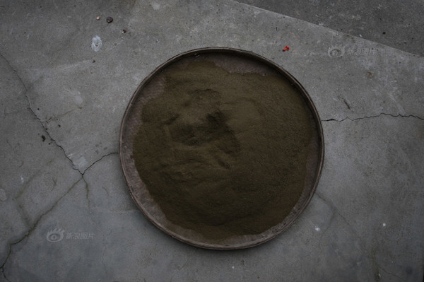 牛羊粪便磨成粉后，当地村民将粉末直接泡水服用。