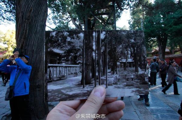 1920年，文绣藏在御花园中。