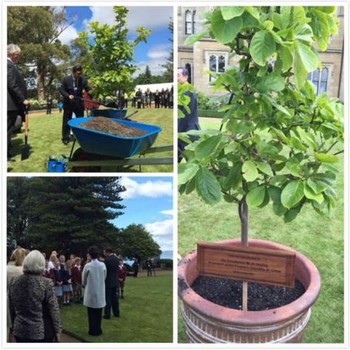 跟习大大出访：如何请到习大大彭妈妈来做客