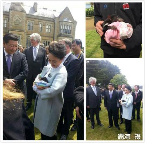 跟习大大出访：如何请到习大大彭妈妈来做客