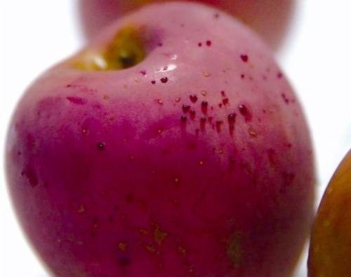 女士热水洗苹果后渗出“血滴”4