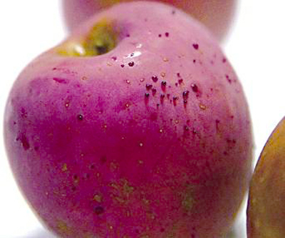 女士热水洗苹果后渗出“血滴”2