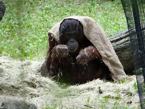 W020141222415261349316 W020141222415261349316