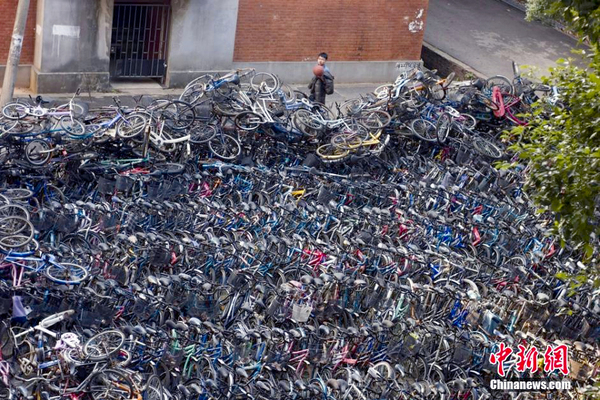湖南一高校内现“自行车坟场”2