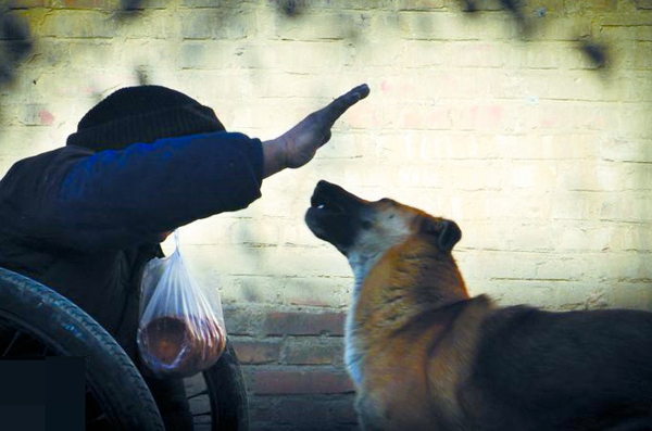 忠犬推残疾主人去摆摊-天冷帮助人暖脚5