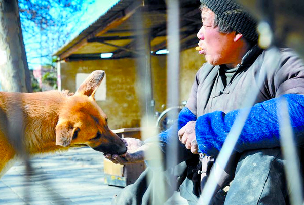 忠犬推残疾主人去摆摊-天冷帮助人暖脚4