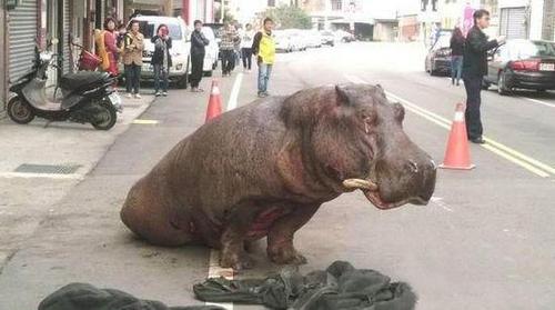 阿河瘫在路上，双眼留下疑似眼泪的液体