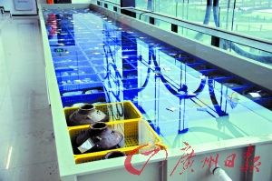 脱盐库房的脱盐池摆放着大量的出土文物。