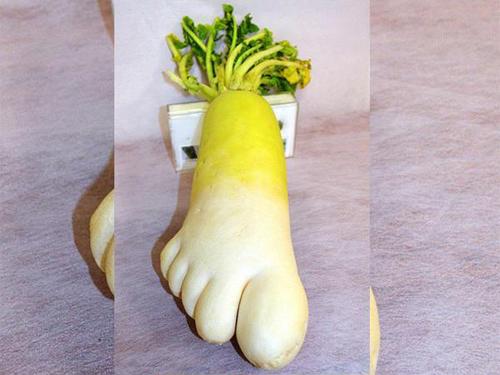 日本农民挖出人脚形萝卜