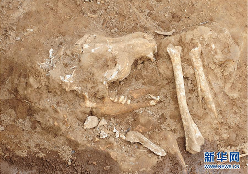 QQ截图20150129092027