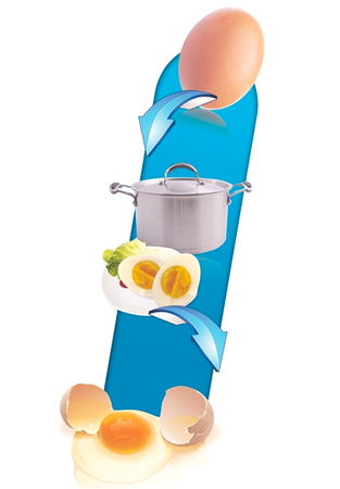 熟鸡蛋可“还原”成生鸡蛋？-南京教授：难度不大2