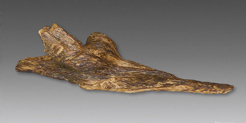 U5083P1081T2D178239F6DT20150202075100