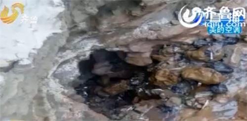 山东聊城徒骇河现“无底洞” 吸干河水致断流(图)2